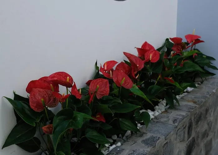 Aparthotel Aboli Phan Thiet